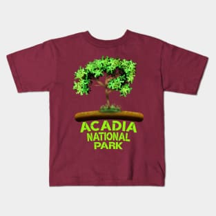 Acadia National Park Kids T-Shirt